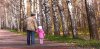 New Research Sheds Light on Chiropractic and Balance