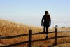 New Research Sheds Light on Vertigo and Balance