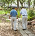 Research Shows Parkinson's Helped with Chiropractic Care Research Shows Parkinson's Helped with Chiropractic Care