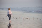 New Research on Quality of Life in the Elderly New Research on Quality of Life in the Elderly