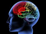 New Research on Models of Vertebral Subluxation New Research on Models of Vertebral Subluxation