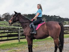 A Battle for Animal Chiropractic: Dr. Laura Colman's Fight for Fairness A Battle for Animal Chiropractic: Dr. Laura Colman's Fight for Fairness